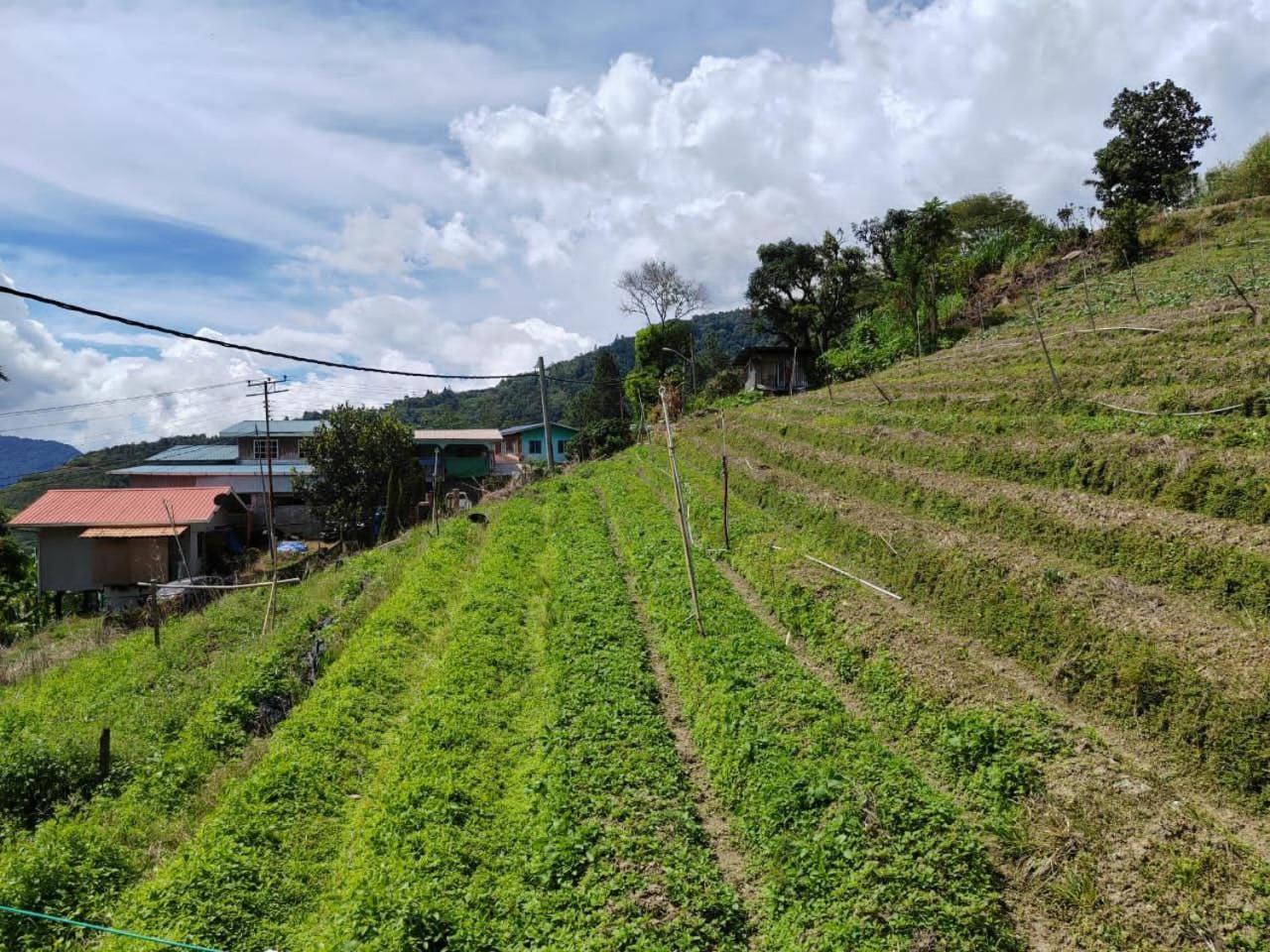 Kundasang Mount Garden Екстериор снимка